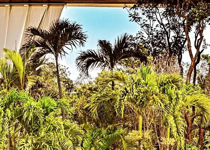 Jungle Panoramic View Ph With Club Shuttle & Gym Tulum